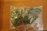 Przeźroczysty woreczek strunowy z zawartością marihuany